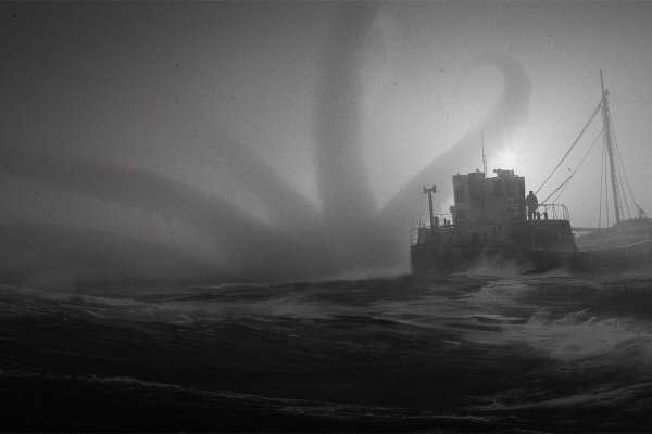 Kraken official