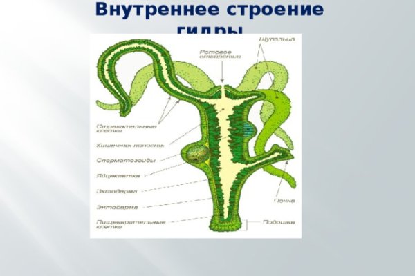 Кракен настоящий сайт