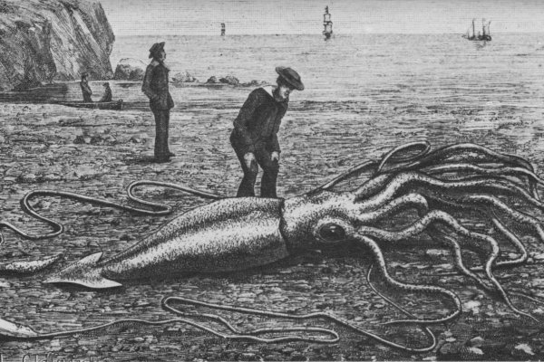 Kraken 16 at ссылка